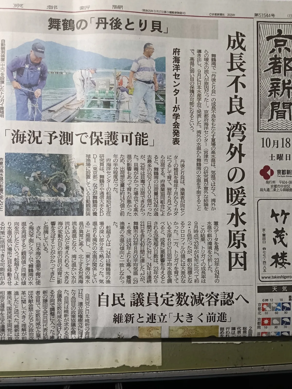 ワンショット 2025：びっくり⁉　ジャンボなサツマイモ！！