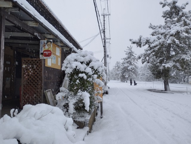 ワンショット 2025：そんなに多くではないですが毎日雪が降ってます　　　　　　2月24日　7：00