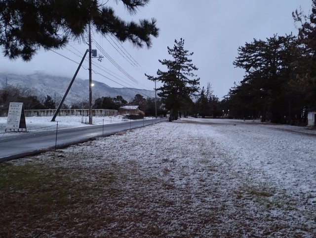 ワンショット 2025：昨日の夕方から波浪警報が出て一晩中強い風が吹いてました、でもこれ位の雪で済みました。今日・明日が寒気が居座るみたい。　　　　　　　　1月8日　7：20