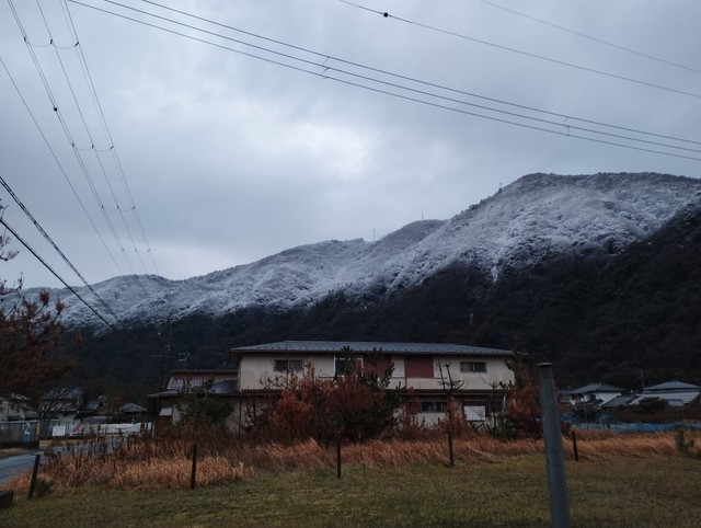 ワンショット 2025：今日・明日は最高気温が６℃の予想、寒暖をくり返し春に近づいていく感じ！！
1月１６日　7：00