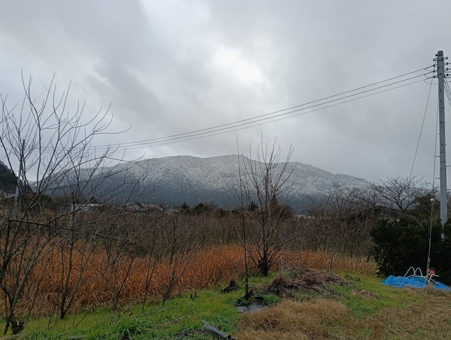 ワンショット 2026：24節気iの小寒で寒さが厳しくなってきます、これからの１週間ほど冬将軍が