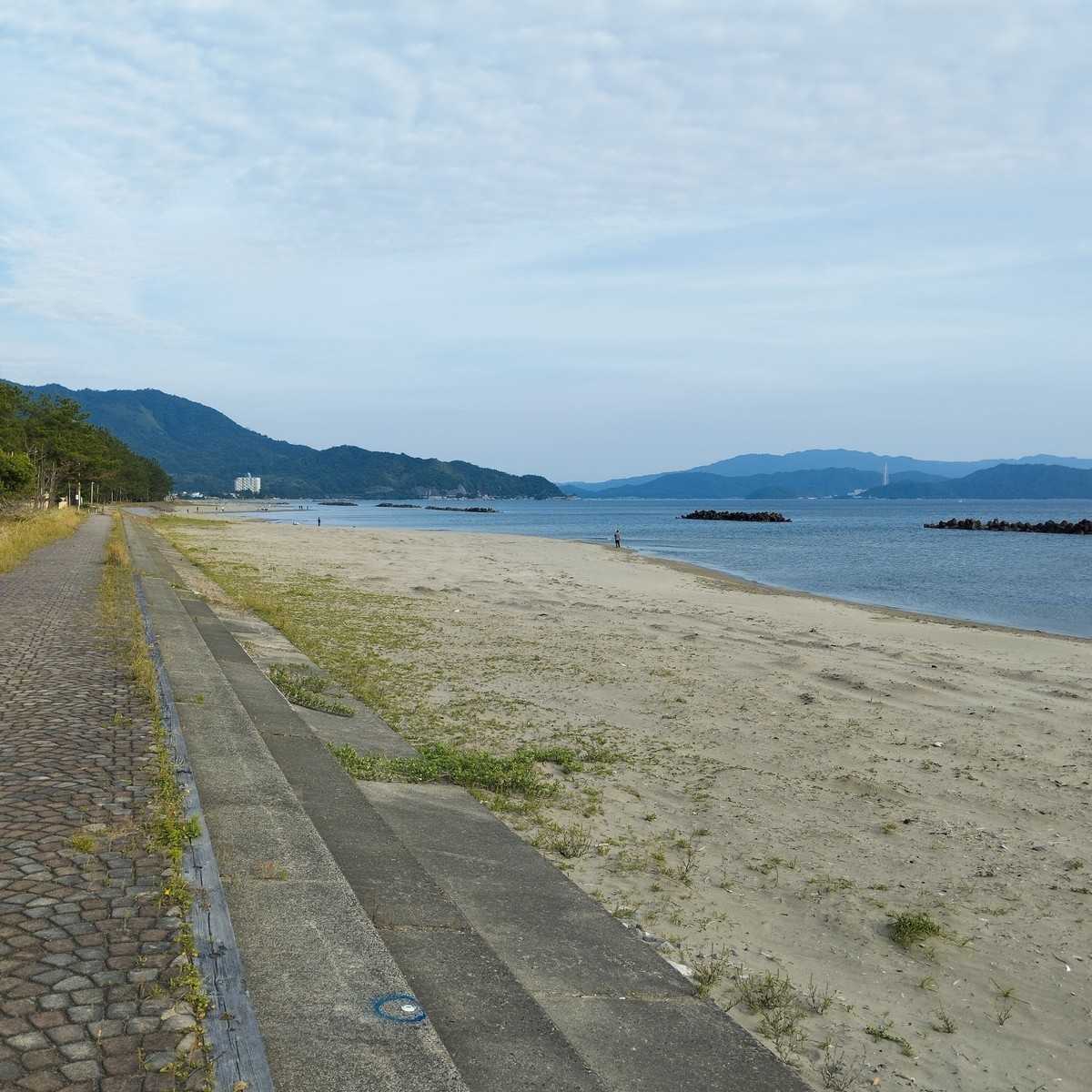 ワンショット 2025：数週間ぶりでまずまずの天候、釣り人にとって最高のコンディション、約20名程