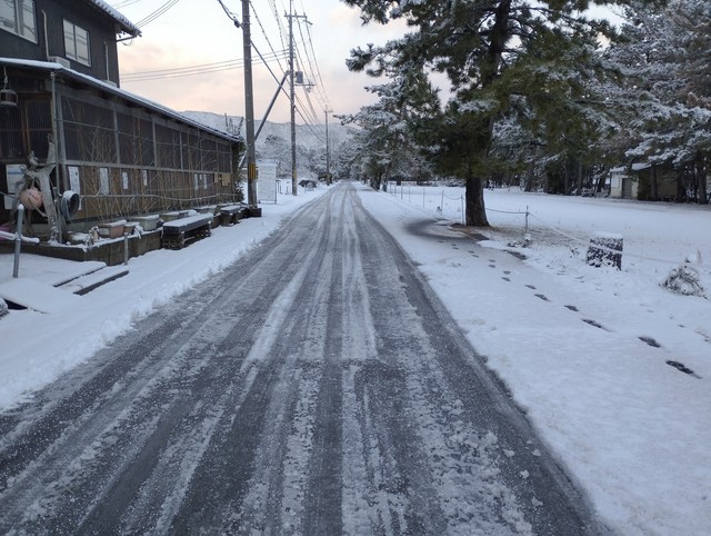 ワンショット 2025：そんなに多くではないですが毎日雪が降ってます　　　　　　2月24日　7：00