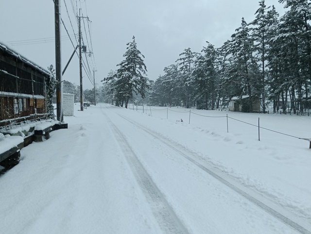 ワンショット 2026：今回の寒波もやっと峠を越しました。　　　　　　　　　2月９日　7：00