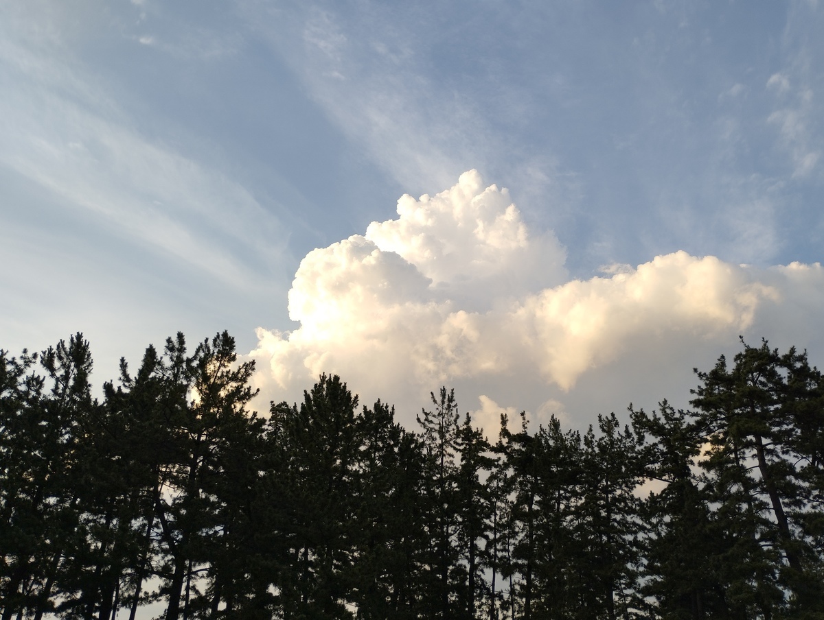 ワンショット 2024：やっと夏の雲が出てきた！　　　　　　　　　　　　　　　　　　　7月25日