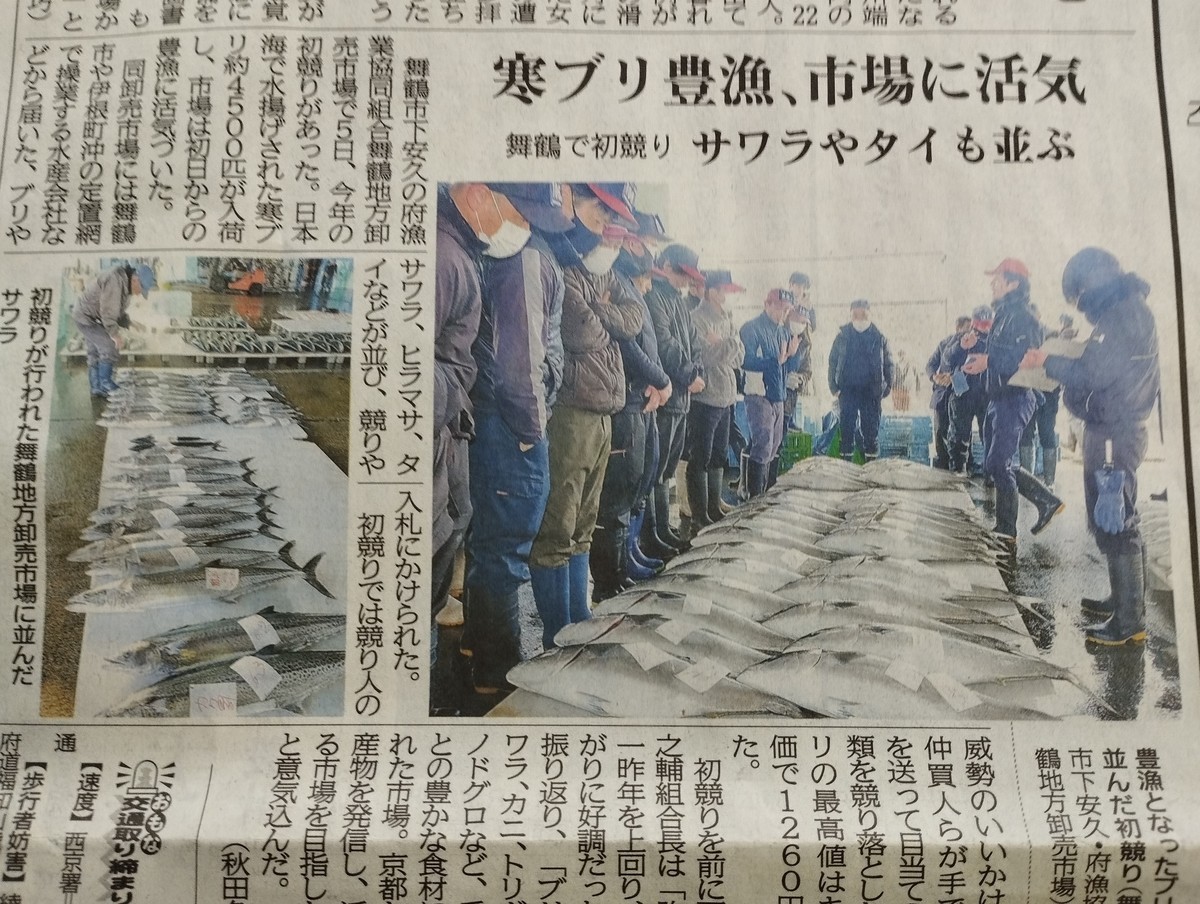 ワンショット 2025：1月5日初セリ寒ブリ豊漁！！