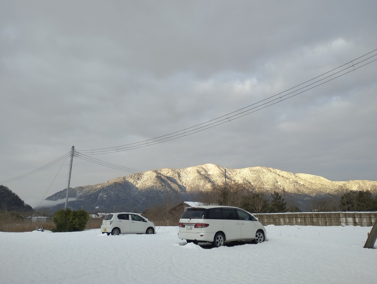 ワンショット 2025：やっと寒気のトンネルを抜けたような感じ。　　　　　　　2月25日　7：00