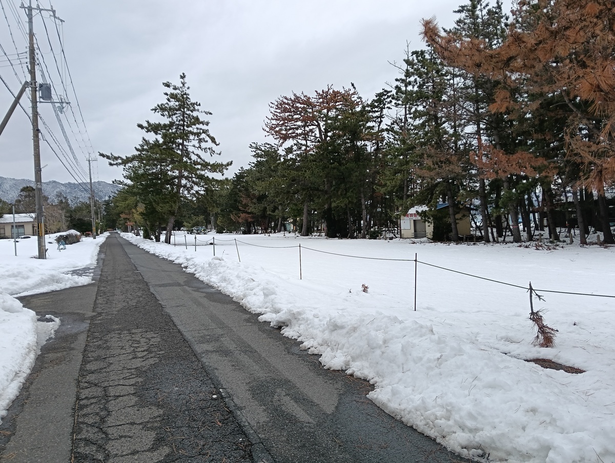 ワンショット 2026：最長の寒波も抜けました、最大では50センチありましたがやっと２０センチほどになりました。　　　　　　　　　　　　　　　　　　　　　　　　　　1月27日　14：00