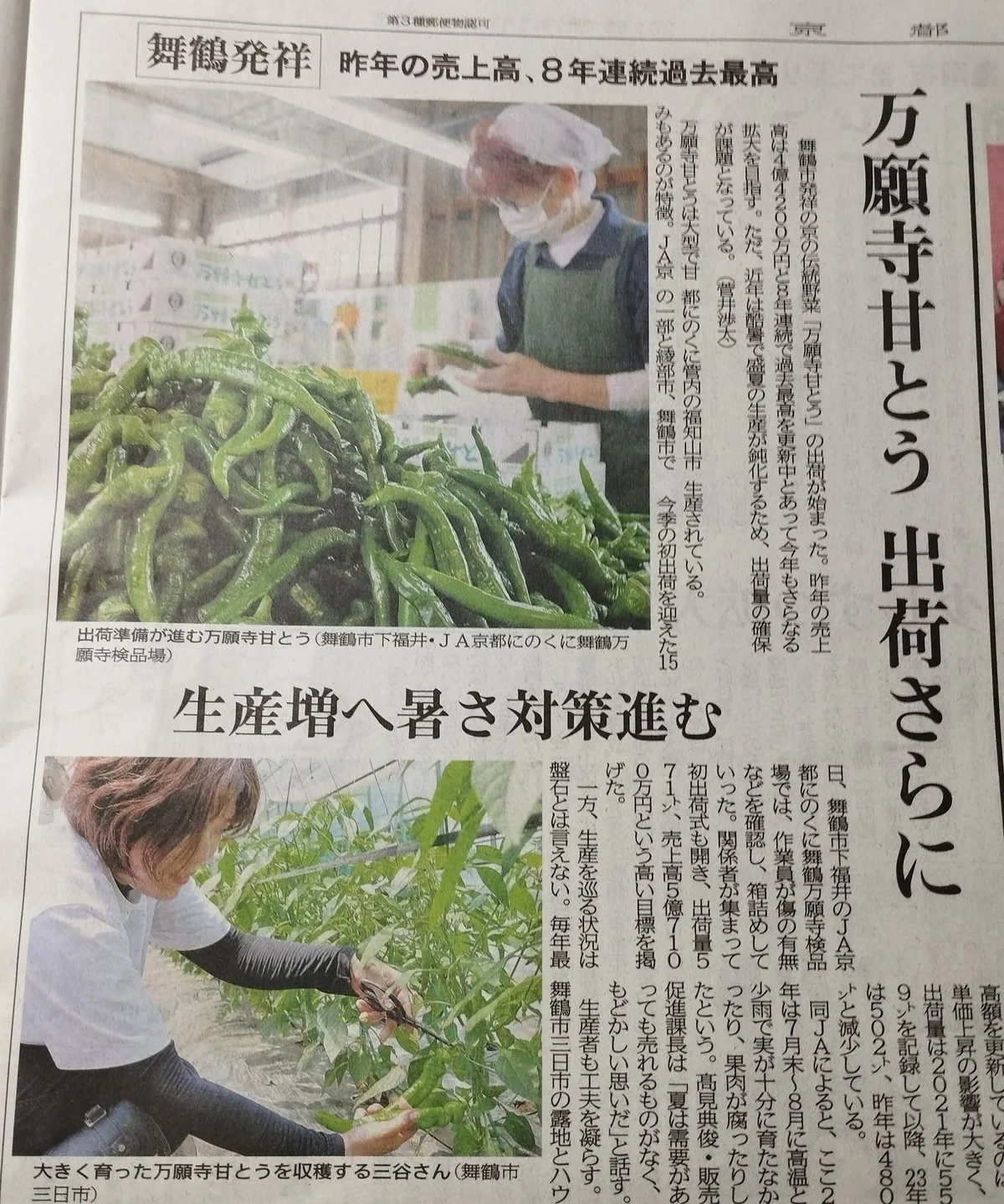 ワンショット 2025：今年も私たちの、目と口を楽しませてくれるように育ってほしい！！　　　5月19日