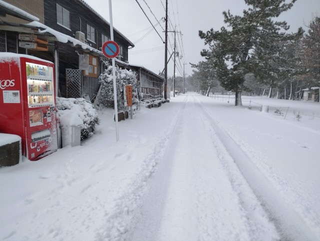 ワンショット 2025：当地も本日は⛄マーク午前7時で10センチ程、今からかなり降雪が有りそうな感じ！
2月5日　7：00