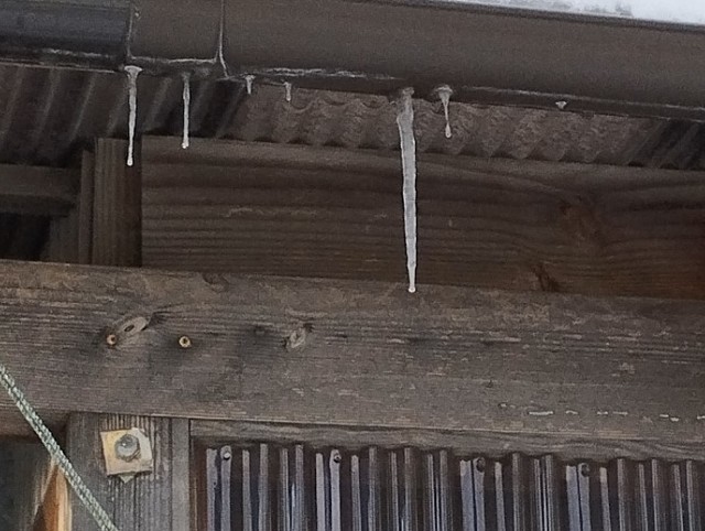 ワンショット 2025：今回の寒波ピークは越した感が、でも寒い只今-3度　　　　2月6日　7：00
