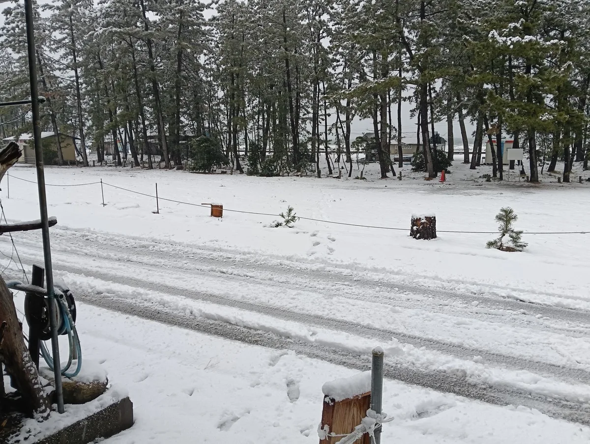 ワンショット 2026：明日までに５０センチ程の積雪が予想されてますが１センチでも少ないほうが助かります。　　　　　　　　　　　　　　　　　　　　　　　　　　　　２月８日　7：00