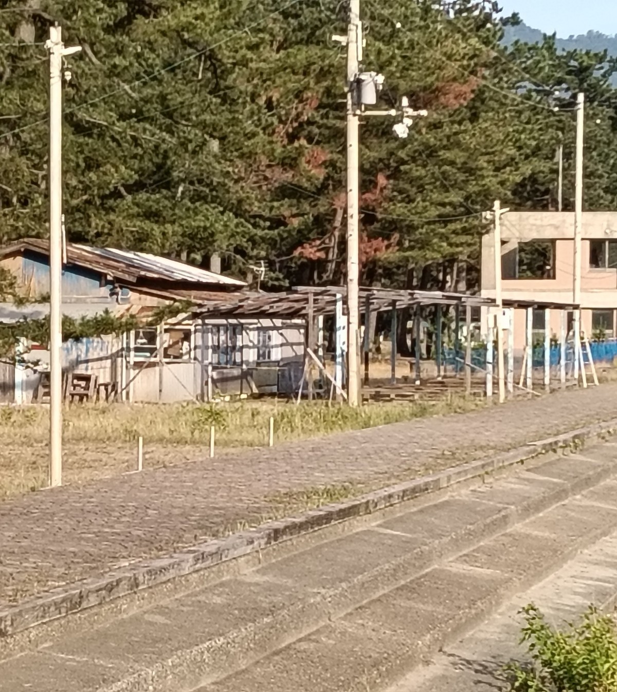 ワンショット 2026：７月１日の海開きに向けて、海の家の設営が始まってます。　　　　６月１７日