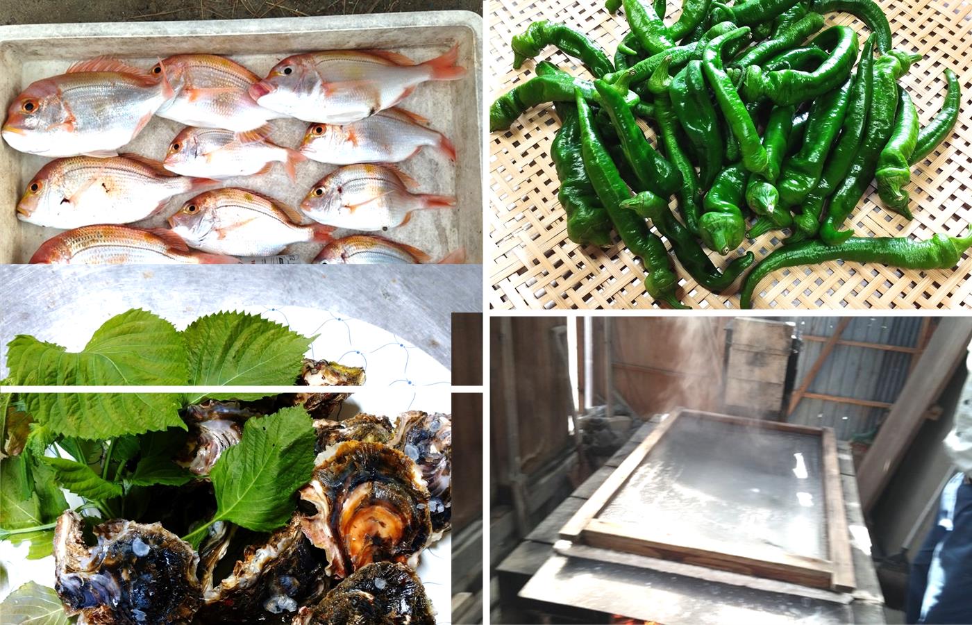 レンコ鯛や万願寺甘とうなどの地元食材